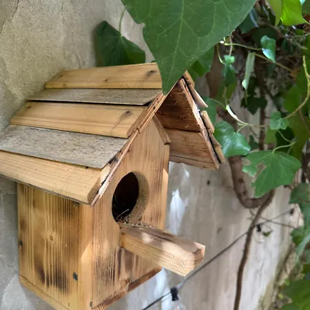 Anastasio Ii רומא