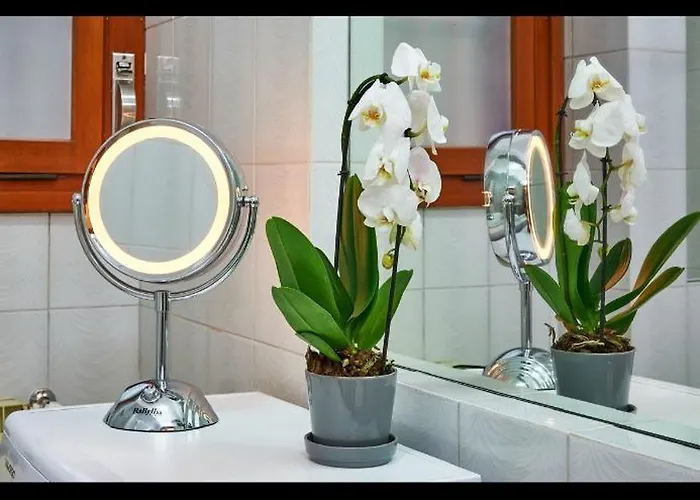 アパート Anastasio Ii *