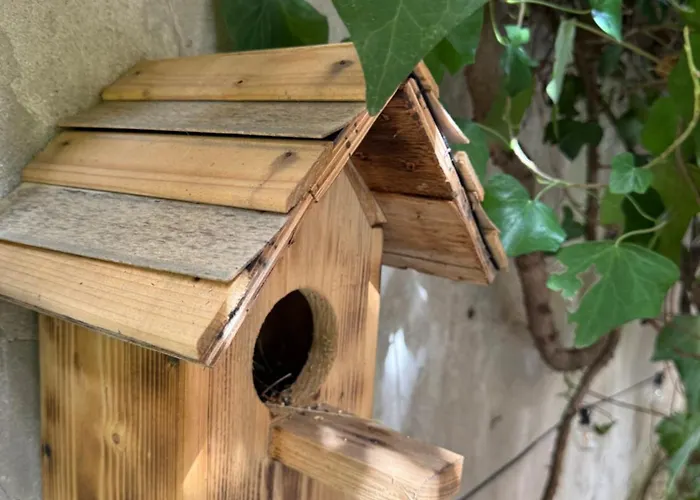 Anastasio Ii ローマ